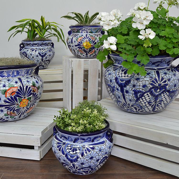 and White Ceramic Planters - Blue Plant - La
